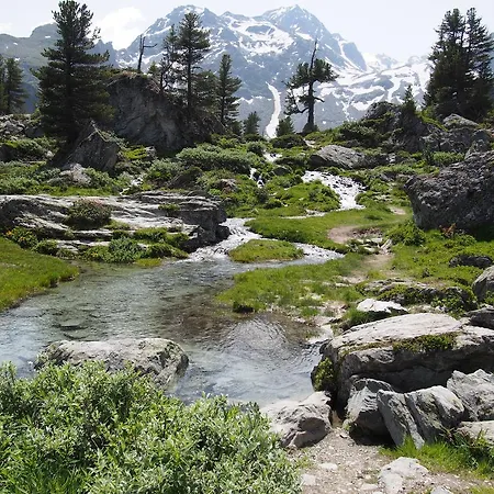 Chalet Le Raccard Saclentse