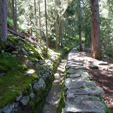 Chalet Le Raccard Saclentse