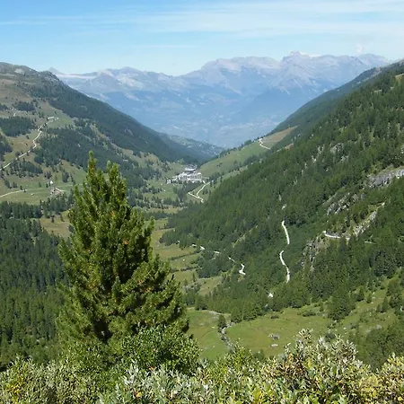 Chalet Le Raccard Saclentse